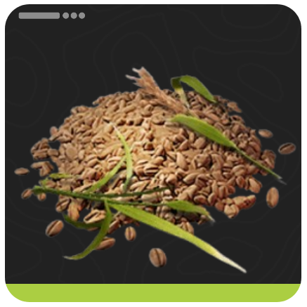 Amber Rice Seed Item