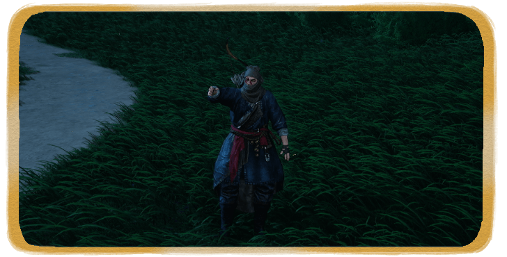 WWM - Trick and Trot