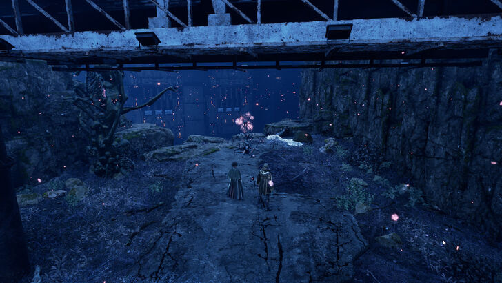 Undead Forest Map Jammer 01 Location