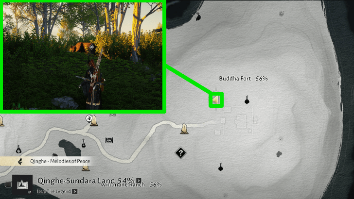 WWM - Snatch Food From the Mouth of a Bear - Buddha Fort