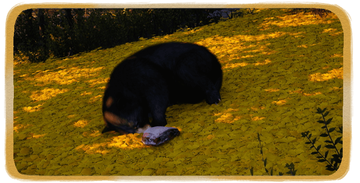 WWM - Snatch Food From the Mouth of a Bear