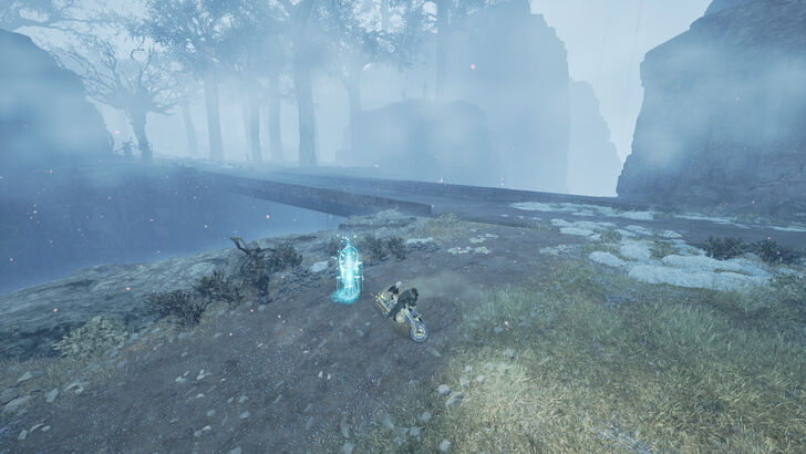 Dam Lakeside Location