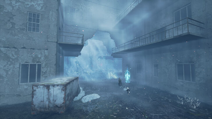 Forest Complex Location