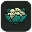 Cauliflower
