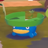 Lotad