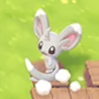 Minccino