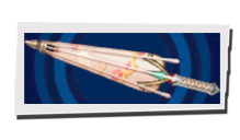 P5 Phantom X - Plum Branch Parasol Image