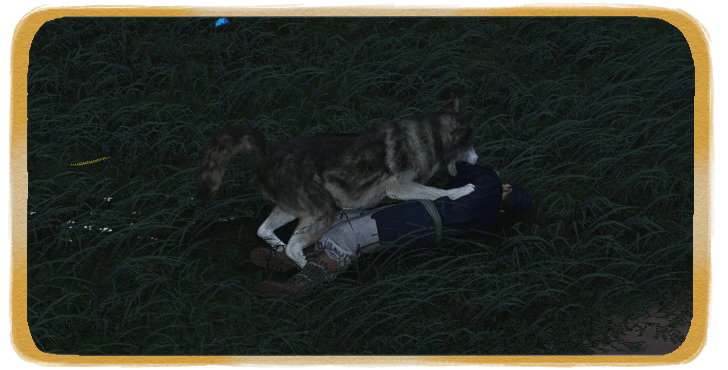 WWM - A Secret Never Shared