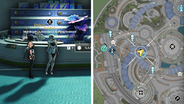 Nana Shop 15 Moss Amber