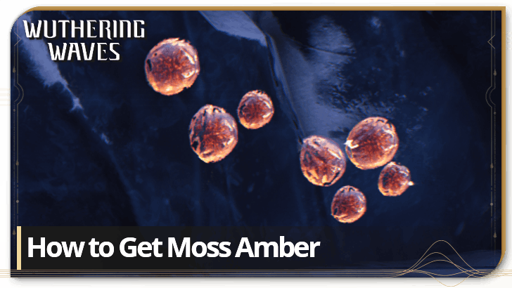 Wuthering Waves 3.1 - How to Get Moss Amber