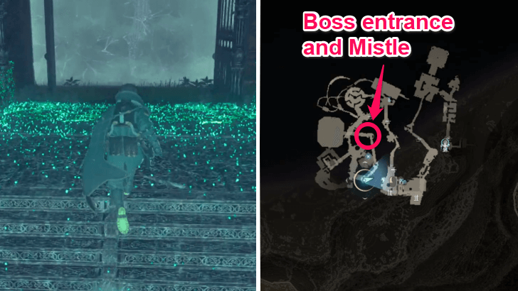 Camilo Asturias Location