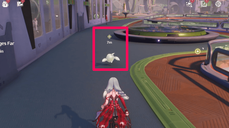 Follow the Soliskin on Campus