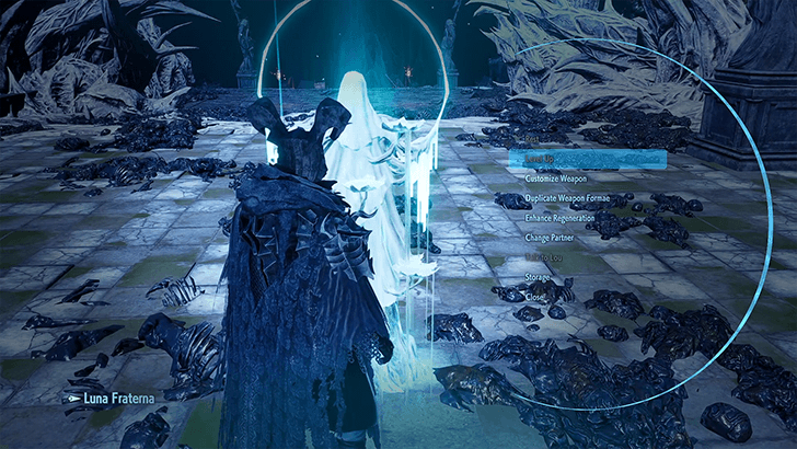 You Cannot Level Up in Luna Fraterna