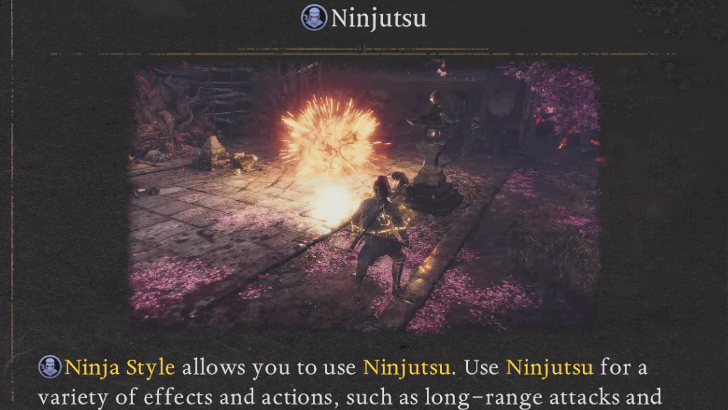 Ninjutsu