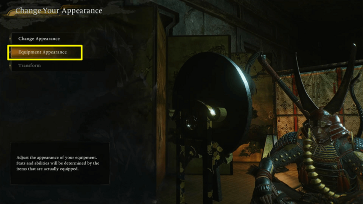 Equipment Appearance Option