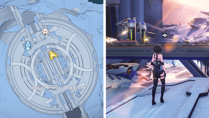 The Spine, the Lifeline