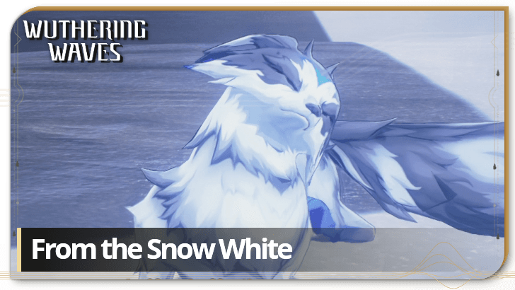 From the Snow White Quest Guide