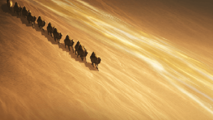 A Tapestry of Harmony