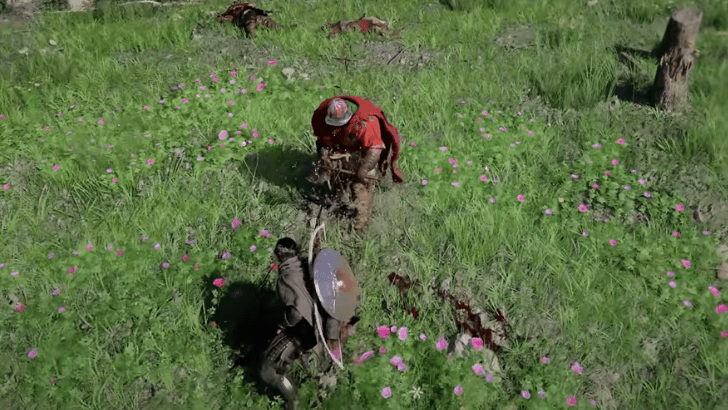Crimson Desert combat in meadow