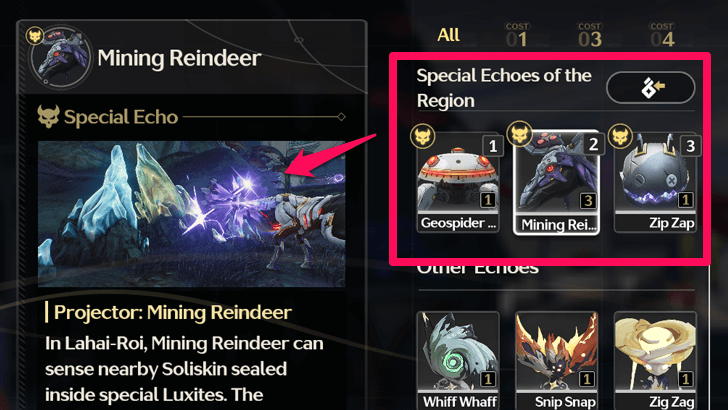 Special Echo Projections