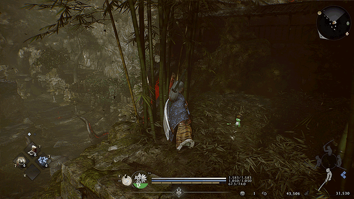 Iinoya Kodama 10 Overworld Location