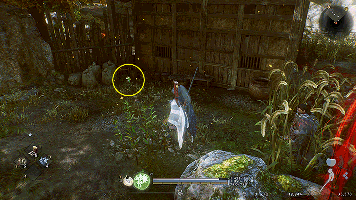 Iinoya Kodama 2 Overworld Location