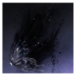 Moonlit Inquiry Small Accessory