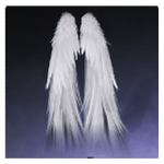 Feathered Grace Armor F