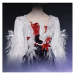 Feathered Grace Upper Garment F