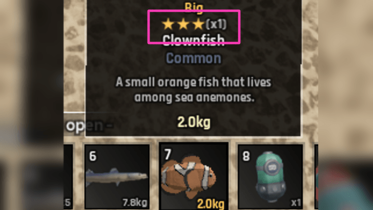 Stars Affects the Price