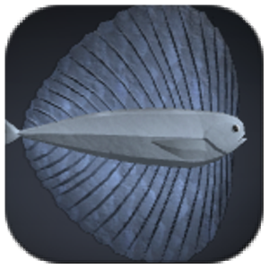 #Pacific FanfishImage