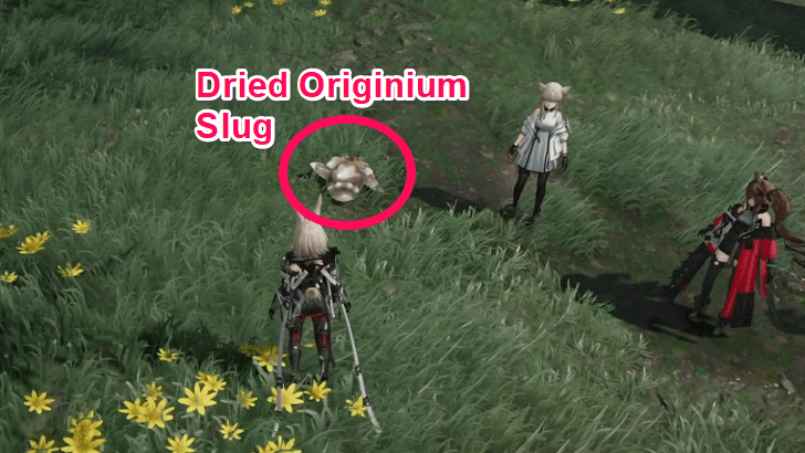 Find Dried Originium Slugs