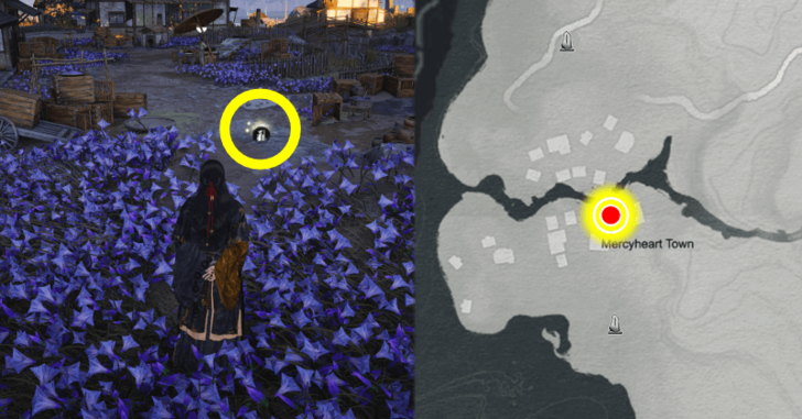 Mercyheart Town Special Oddity