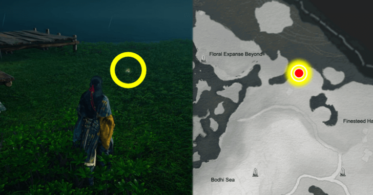 Floral Expanse Beyond Special Oddity