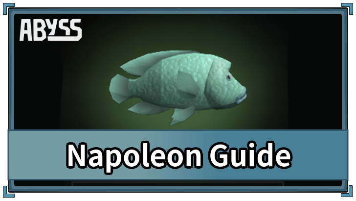 Napoleon Guide