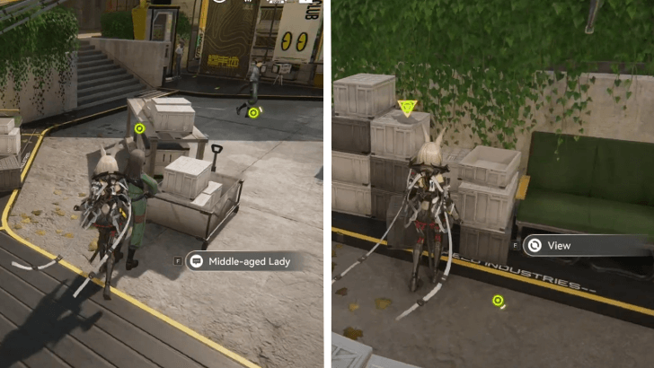 Ask the Middle-Aged Lady