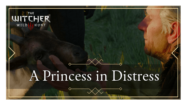 A Princess in Distress Walkthrough