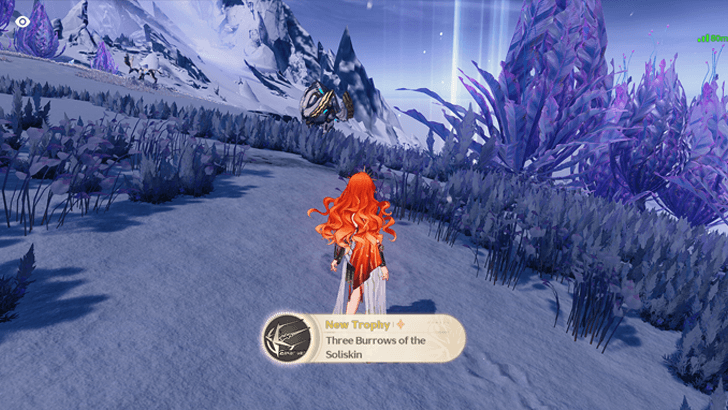 Three Burrows of the Soliskin