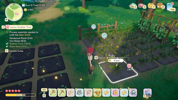 Farming And Watching Rabbit