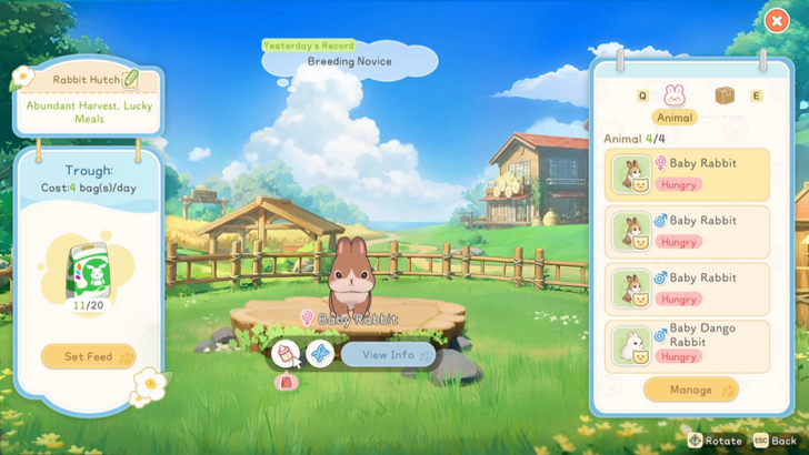 Rabbit Hatch Interface