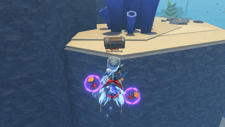 Treasure Chest Behind Coral