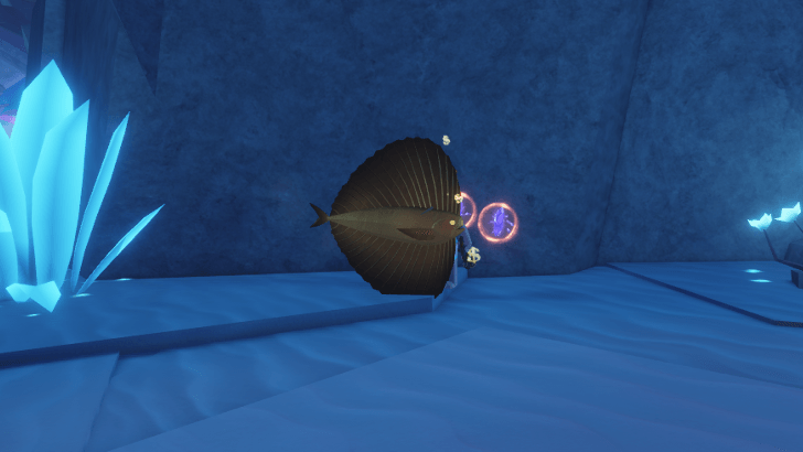 #Pacific Fanfish - Golden