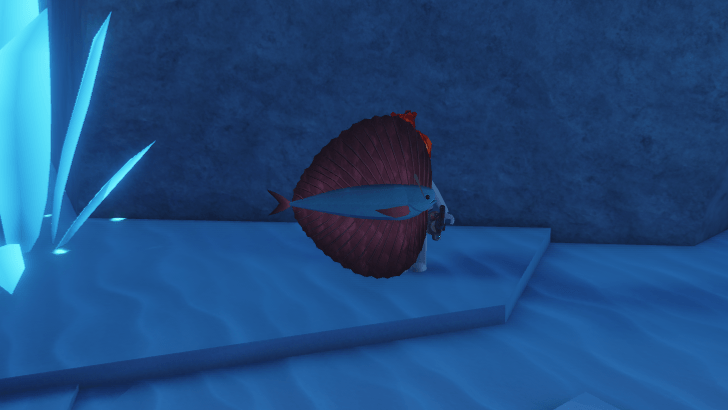 #Pacific Fanfish - Coral