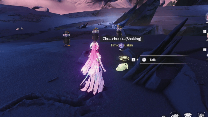 Adventures of the Timid Soliskin