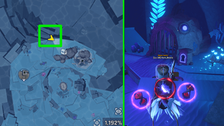 Inside Spirit Roots Cave Area