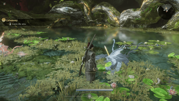 Choosing Ninja Kusanagi