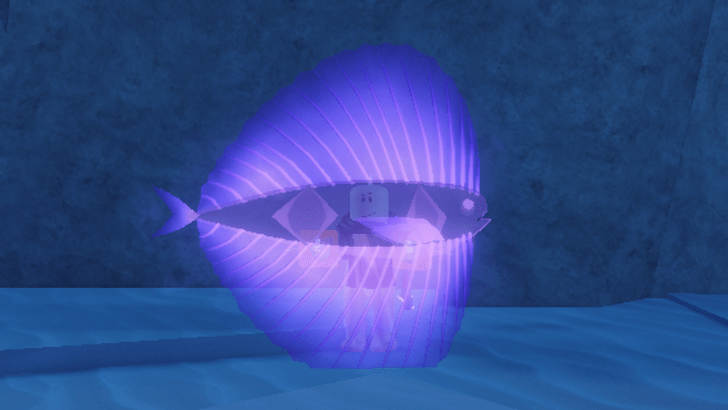 #Pacipic Fanfish - Ultraviolet