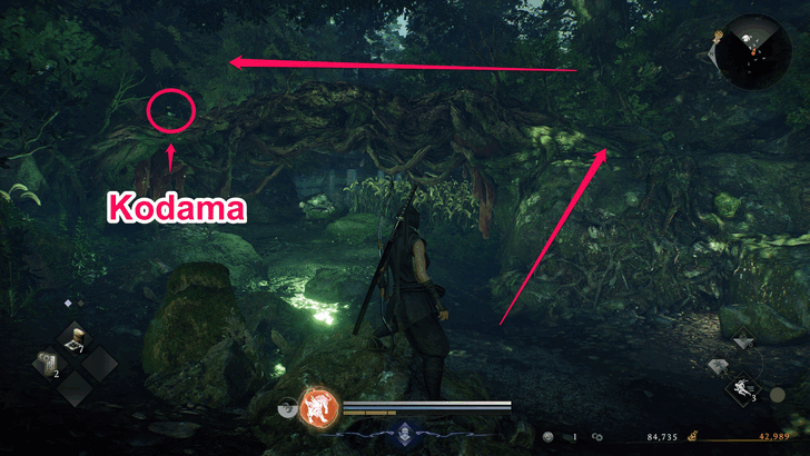 Futamata Road Kodama 3 Overworld Location