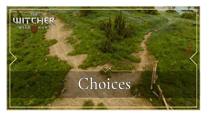 Witcher 3 - Choices Top Banner
