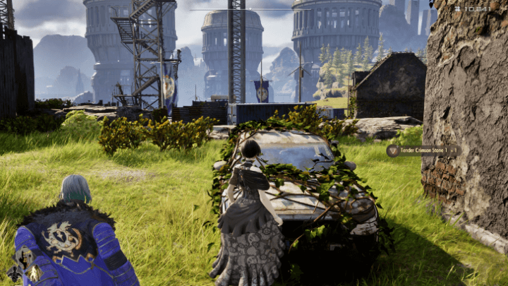 Tender Crimson Stone 1 Location